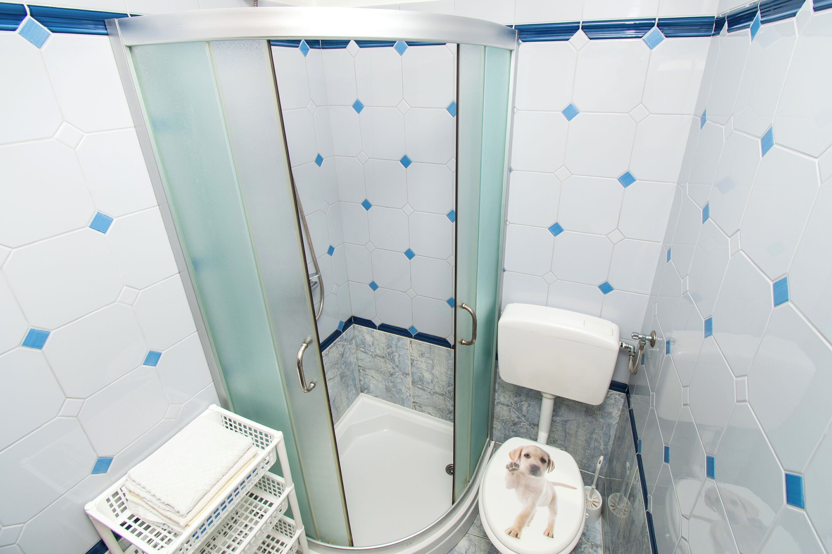 A bathroom with a glass-enclosed shower, a toilet, and a white tiled wall with blue accents.