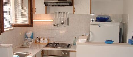 Apartment (A2) | Private kitchen | Fridge, microwave, oven, stovetop