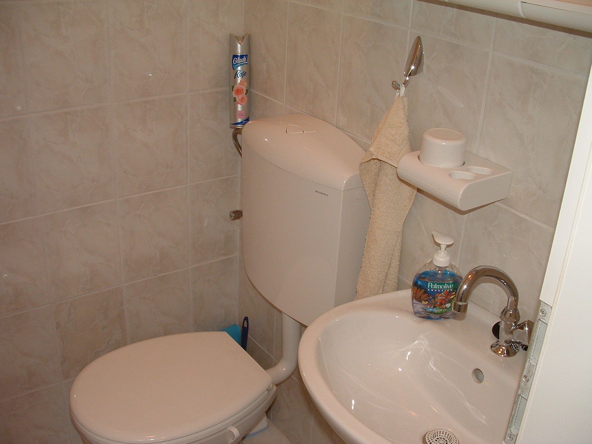 A bathroom with a toilet, sink, and a toilet paper holder.