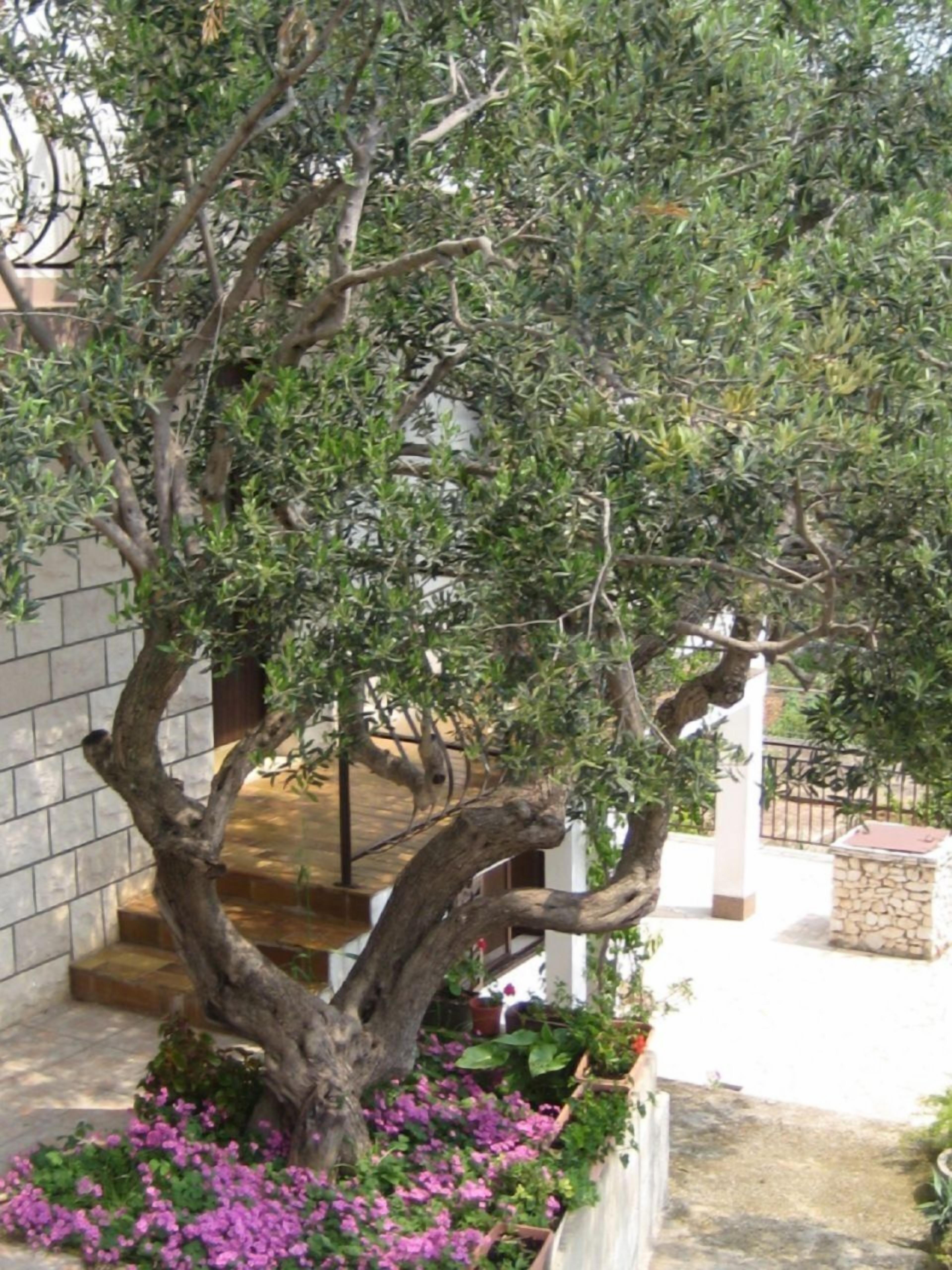 Innenhof