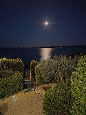Vista nocturna de una zona costera con mar iluminado por la luna, sendero de piedra y abundante vegetación.