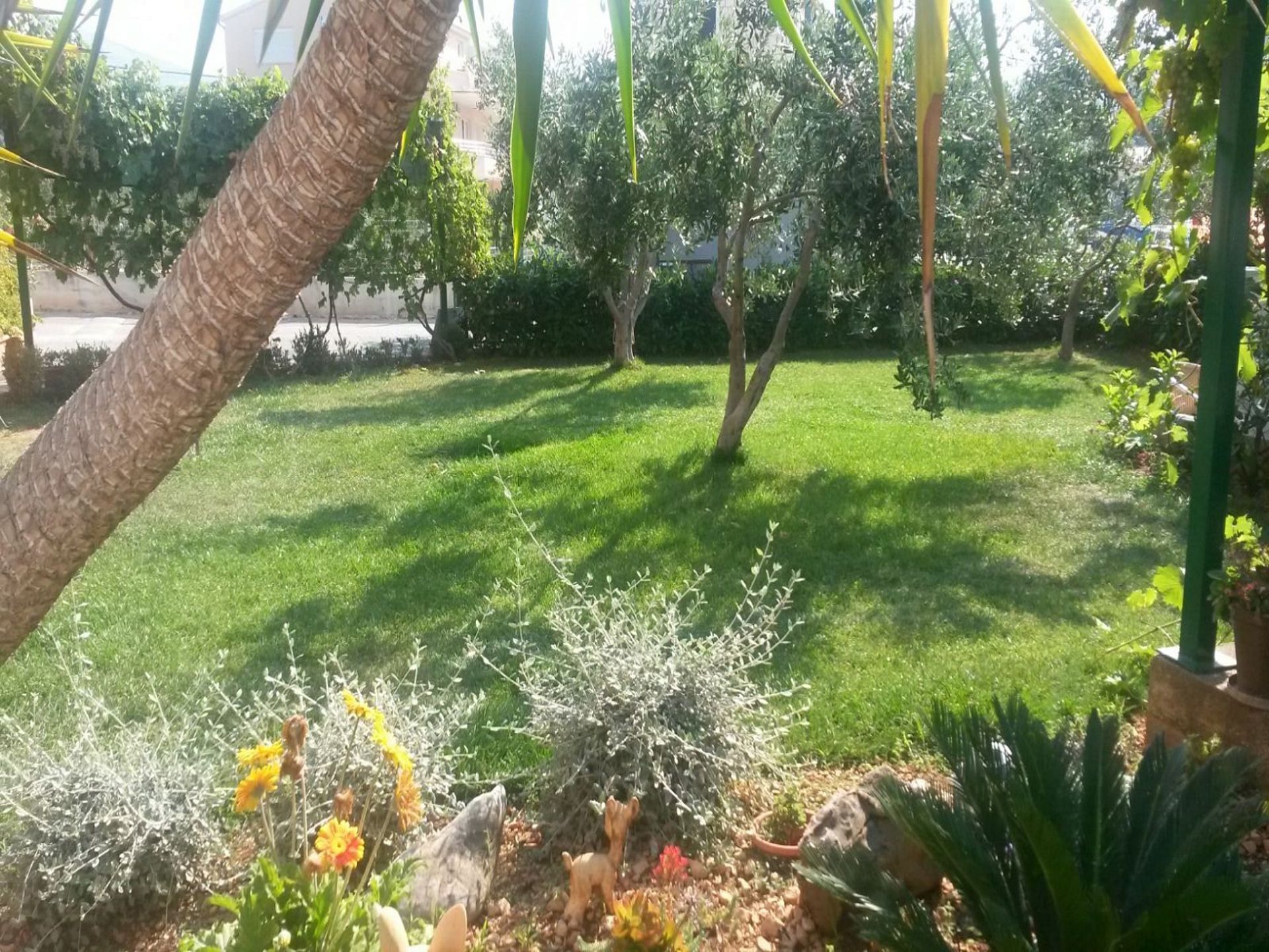 Tuin