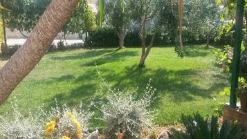 Tuin