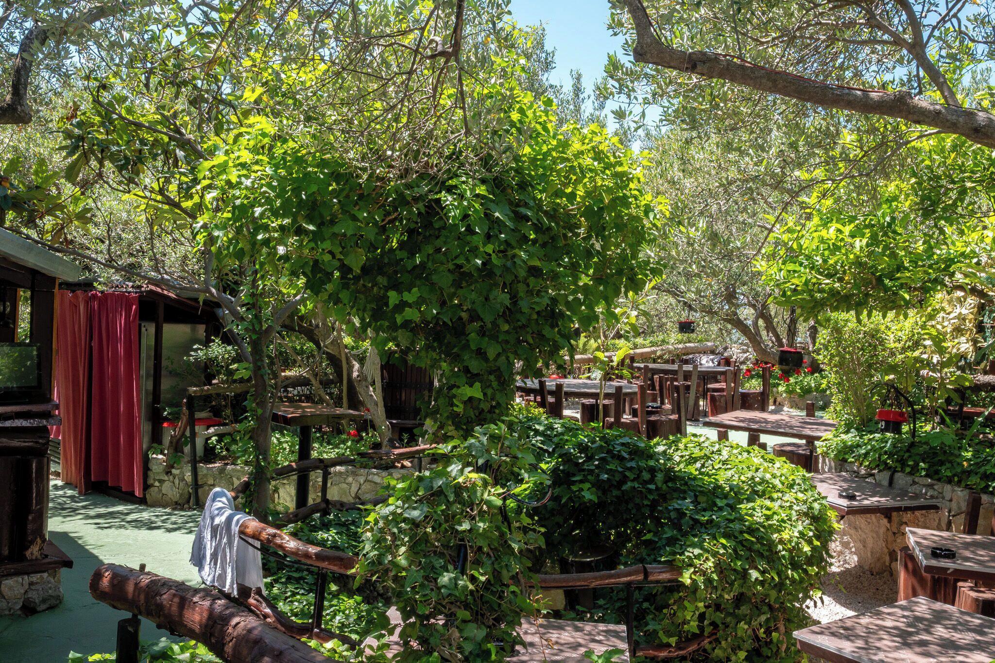 An outdoor seating area with tables and chairs, surrounded by greenery and trees.