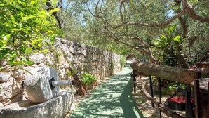 A stone pathway flanked by olive trees and a stone wall. - Apartments Antisa (Tucepi)