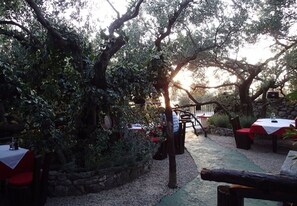 Courtyard - Apartments Antisa (Tucepi)