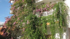 Un edificio de varios pisos con balcones cubiertos de enredaderas florecientes.