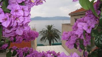 Cảnh từ trên cao