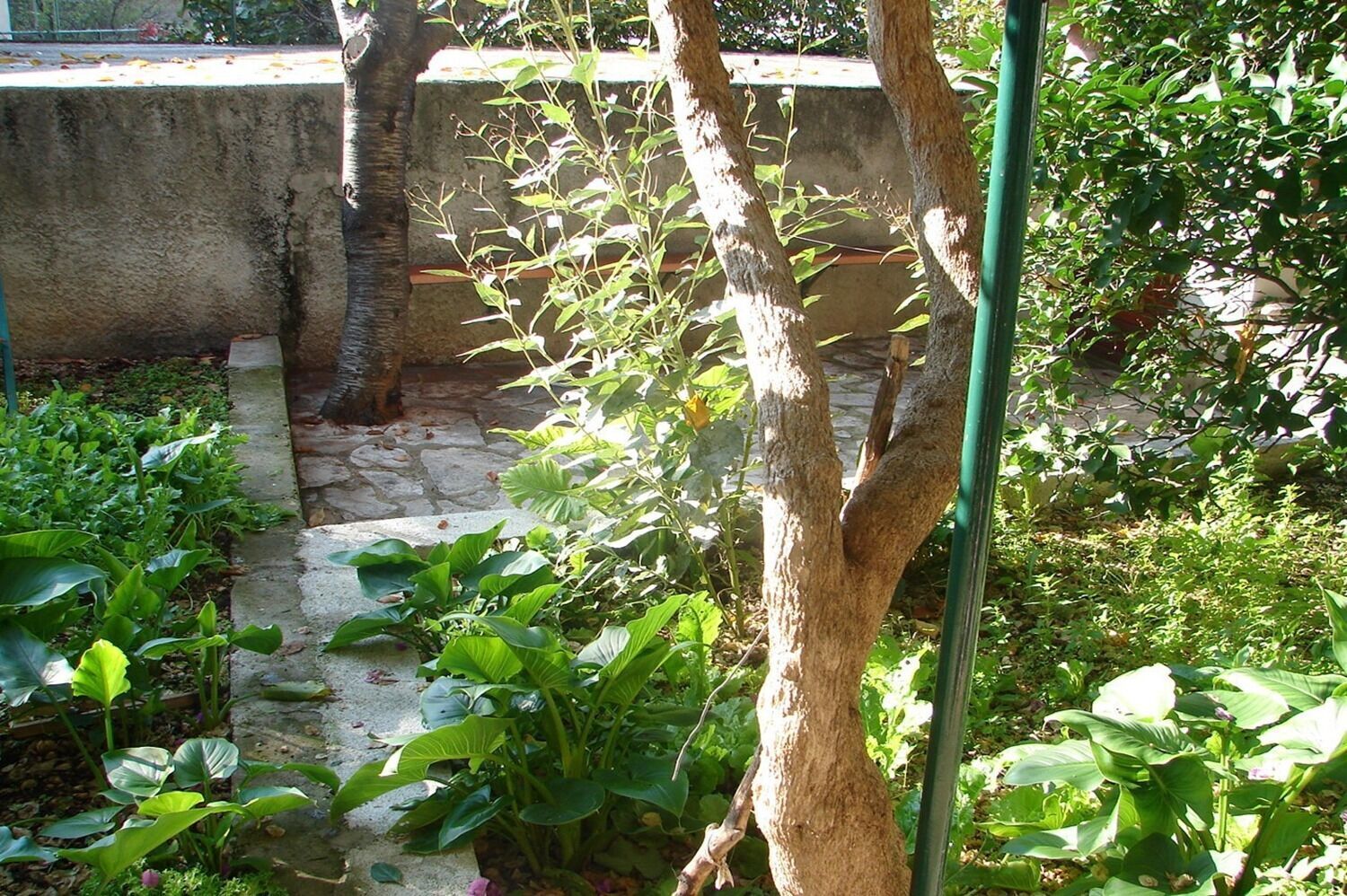 Courtyard