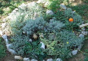 Courtyard - Apartments Tiho (Podgora)
