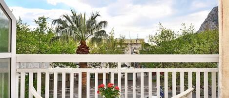 公寓 (A1) | 露台/庭院