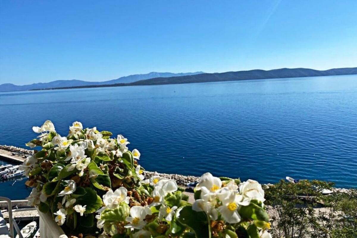 Căn hộ (A3) | Quang cảnh mặt nước