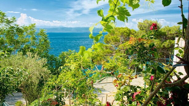 A coastal garden with a view of the sea, lush greenery, and a pergola structure. - Apartment Gojko (Podgora)