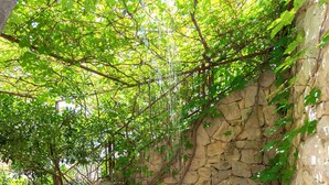 A stone-tiled floor with a stone wall and a wooden barrel. - Apartment Mirja (Omis)