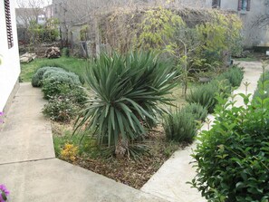 Garden - Apartment Dita (Nin)
