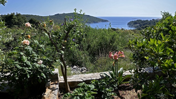 Ein Garten mit verschiedenen Pflanzen und Blumen, eine Steinmauer sowie der Blick auf das Meer und die Hügel im Hintergrund.