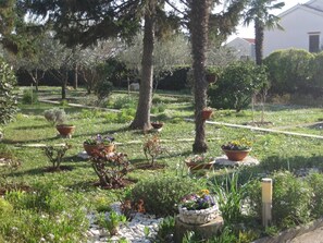 Jardin