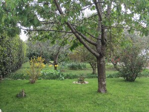 Garden - Apartment Ivan (Zadar)