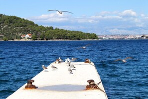 Strand, tengerpart
