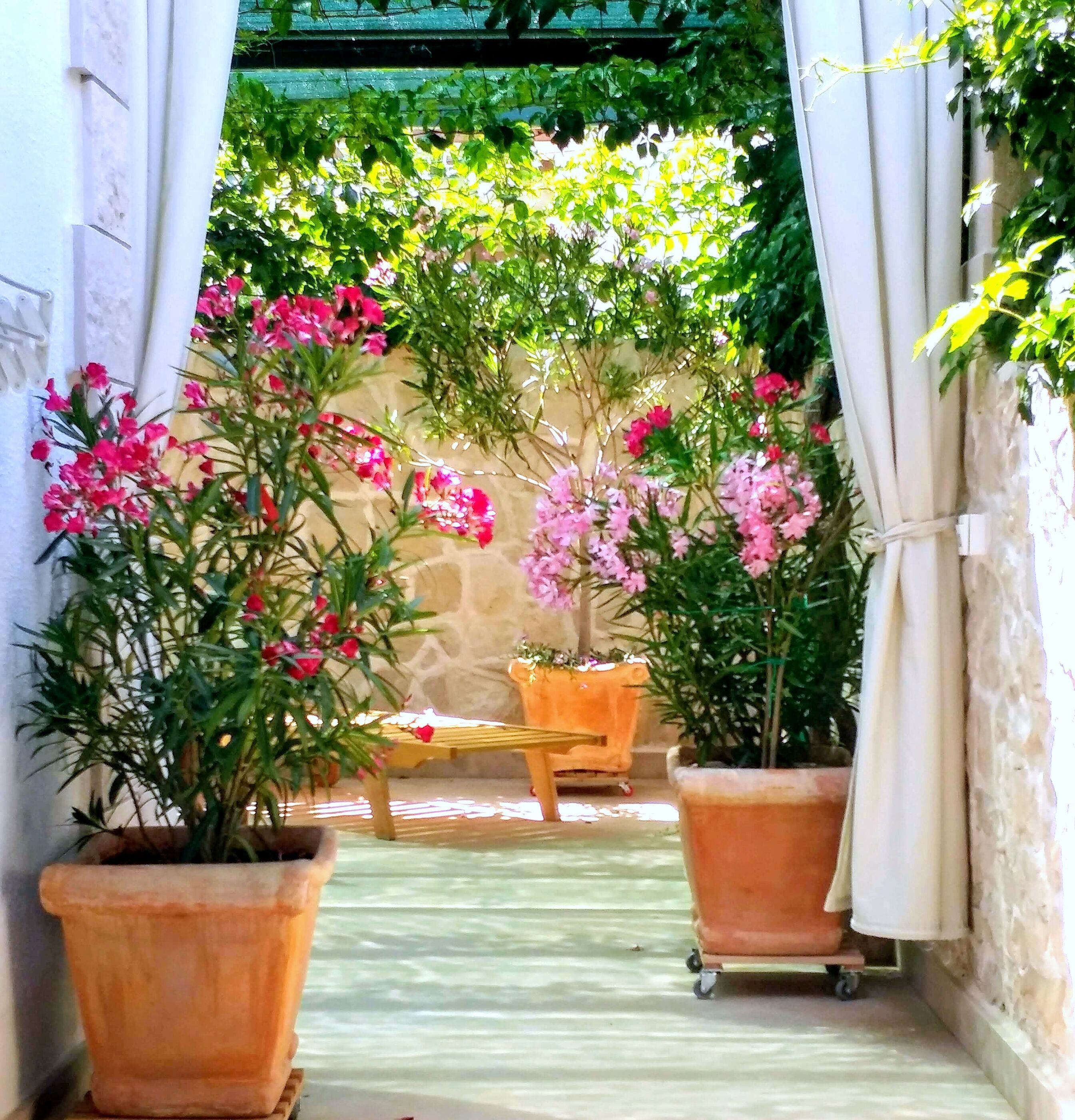 Studio (A4) | Terrasse/Patio