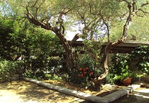 Àrea exterior de l'allotjament