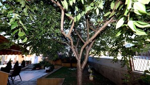 Un árbol en un patio con suelo de baldosas y plantas en macetas.