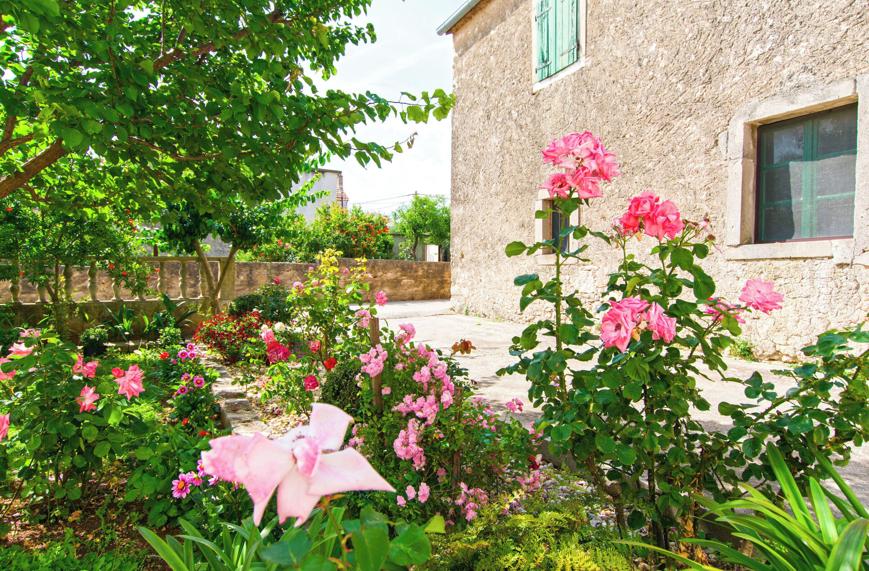 Jardim
