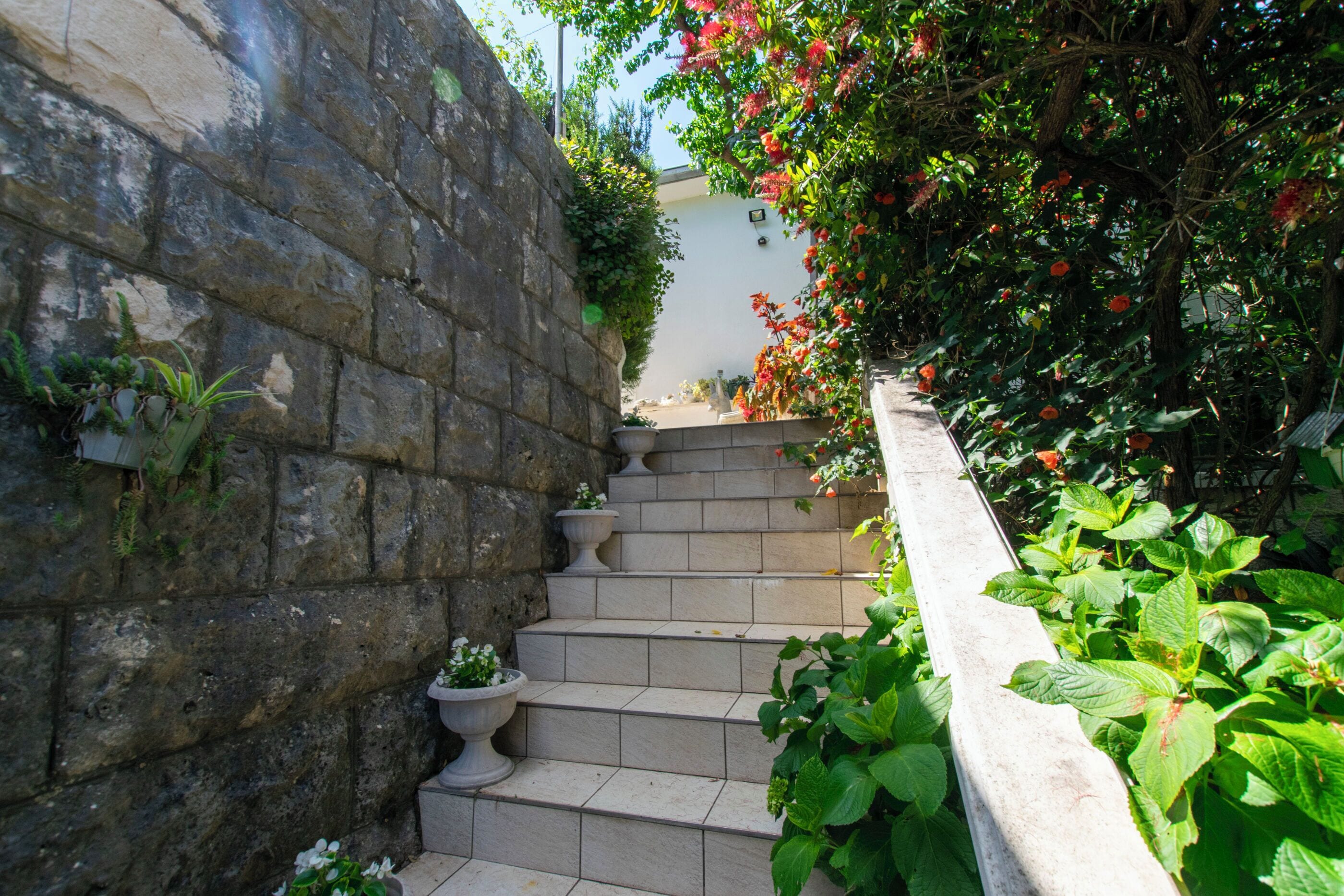 アパートメント (A2) | 施設の敷地