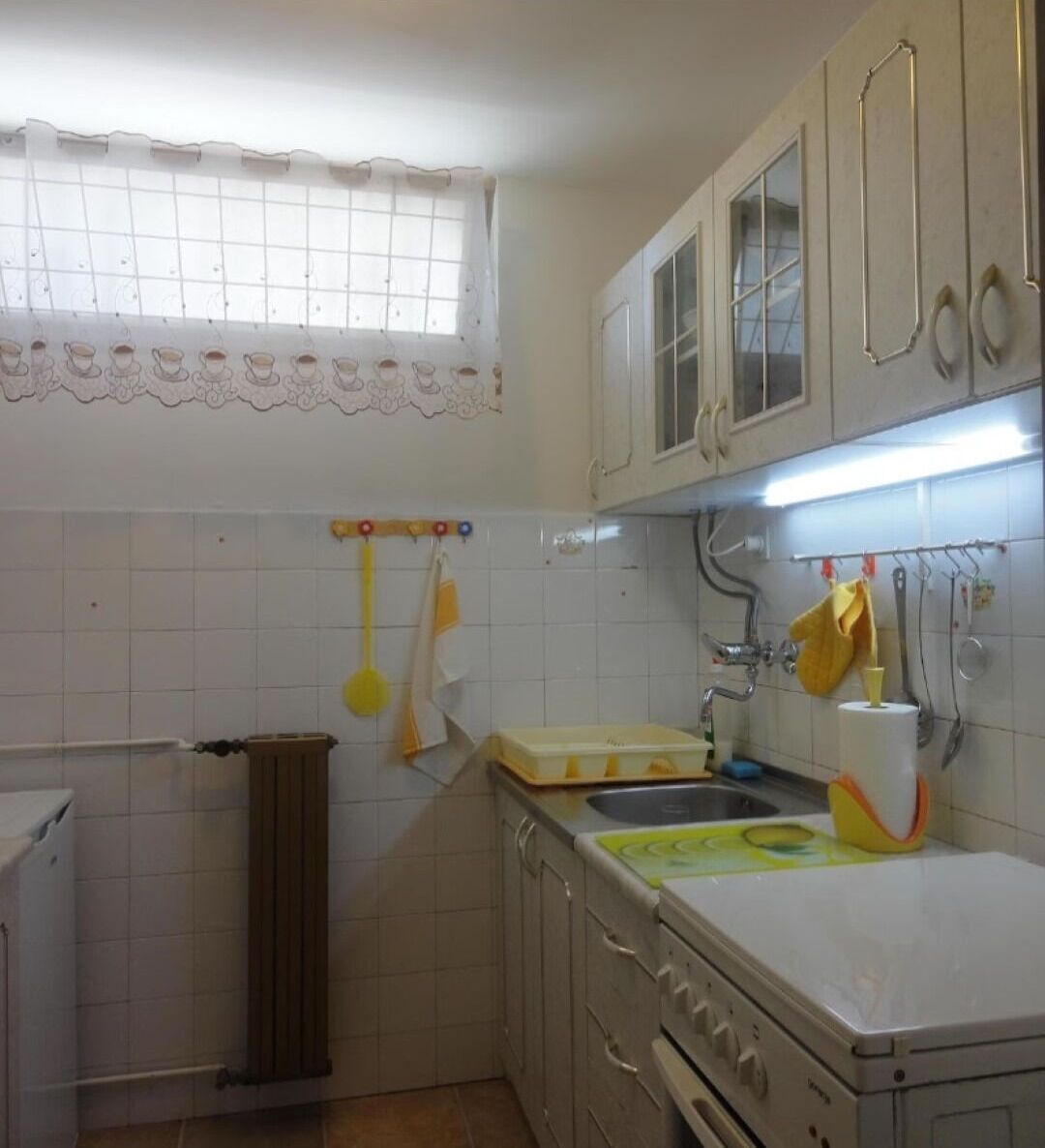 Apartment (A1) | Eigene Küche | Kühlschrank, Mikrowelle, Ofen, Herdplatte