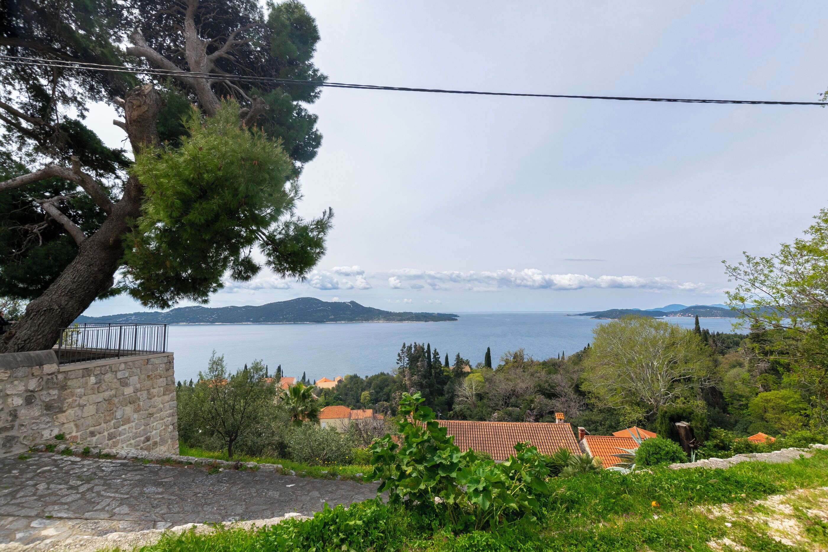 A coastal view with a stone wall, a large tree, and a distant view of the sea and mountains.