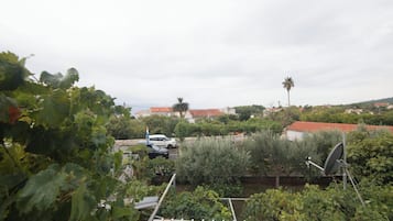 Studio (A2) | Aerial view