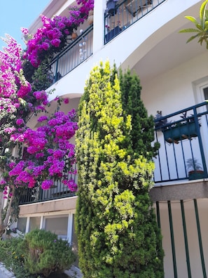 Building design - Apartment Marija (Podstrana)