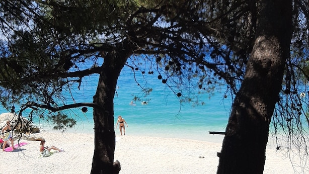 Een strand met mensen die zonnebaden en zwemmen, omringd door bomen.