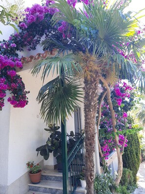 Exterior detail - Apartment Marija (Podstrana)