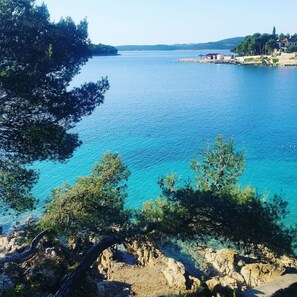 A coastal landscape with clear blue waters, rocky shorelines, and dense greenery. - Apartment Zeljko (Solta)