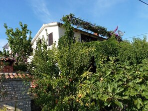 Building design - Apartment Zeljko (Solta)