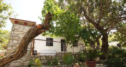 House Paulo2