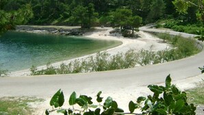 A coastal road curving through a forested area with a sandy beach and a clear view of the sea. - Apartments Kat (Supetar)
