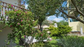 Appartamento (A2) | Cortile