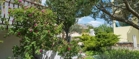 Apartment (A2) | Innenhof