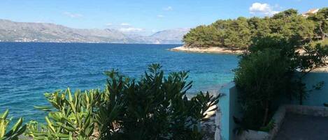 アパートメント (A2) | 外観