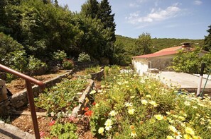 Courtyard - House Paulo1 (Vis)