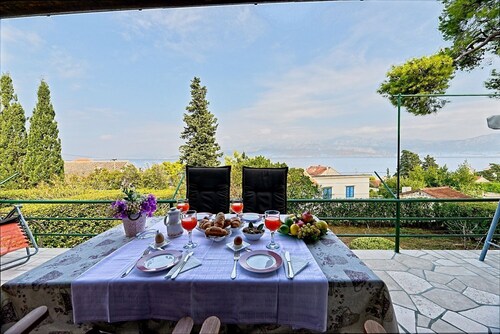 House Viki