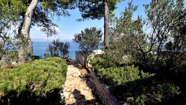 A stone pathway leading through a coastal area with pine trees and a view of the sea. - Apartment Ela (Solta)