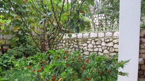 Ein Garten mit verschiedenen Pflanzen und einer Steinmauer.