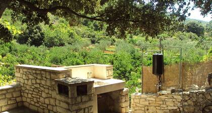 House Lidija