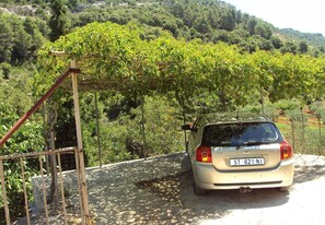 Courtyard - House Lidija (Postira)