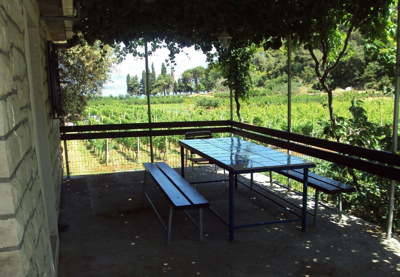 Un'area salotto esterna coperta con tavolo e panche, con vista su un vigneto.