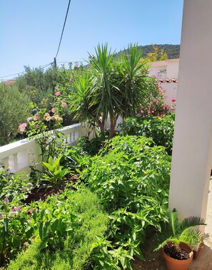 Apartment (A1) | Property grounds - Apartment Slaven (Marina)