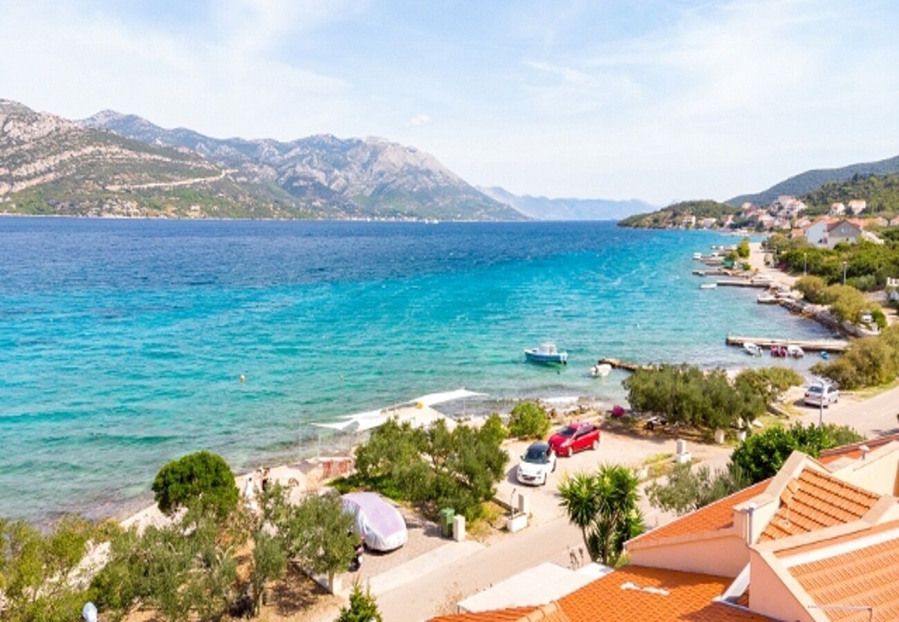 بالقرب من الشاطئ